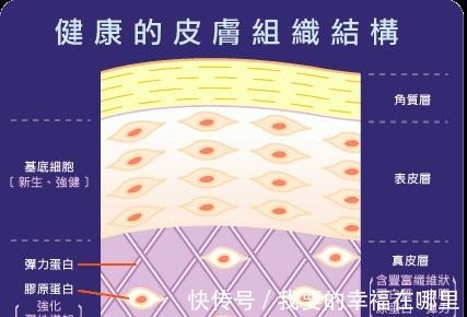 精华 水、乳、霜、精华的正确护肤顺序,涂错了不但“无效”还“伤肤”!