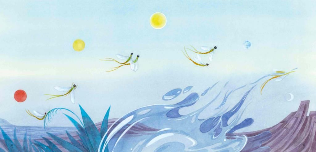 动物|打开世界各地动物的信笺,我们能有何感悟?