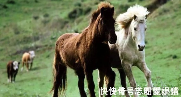 田忌赛马$《田忌赛马》孙膑出计让田忌取胜，实际上却是个愚蠢的计策