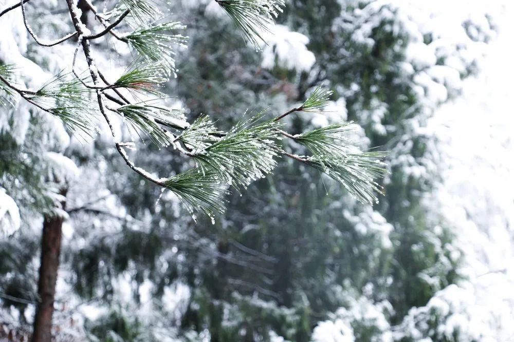 秘密|这个秘密只告诉你，刷爆朋友圈的广元雪景，都在这里了！