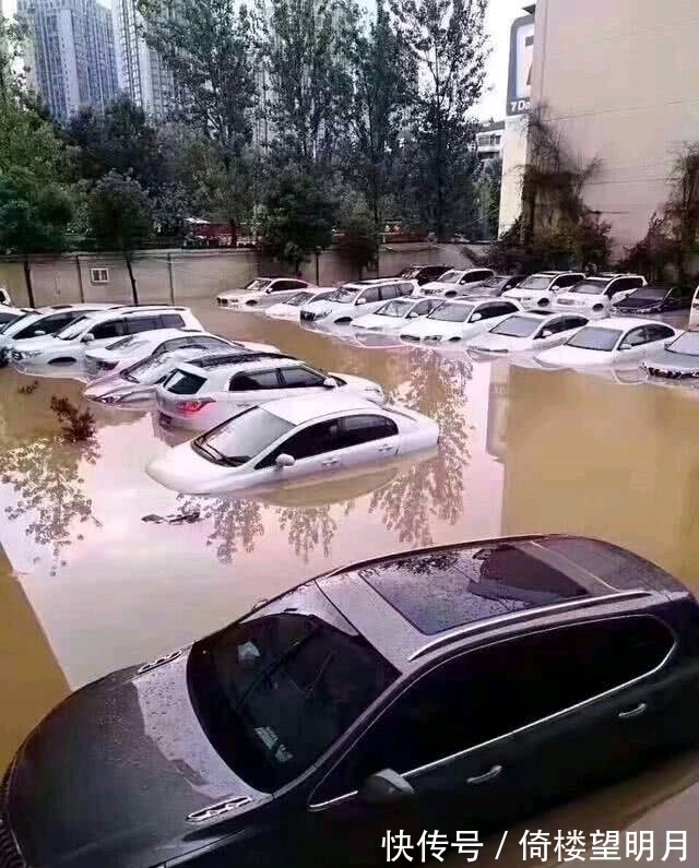 |搞笑图片幽默段子笑话：哈哈，是下暴雨了么，小区的汽车都被淹了