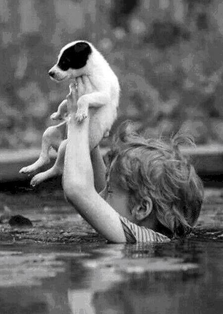 ps|29张没有ps的历史照片，看完第1张就泪奔了………