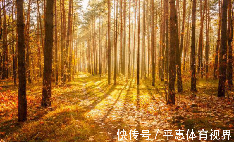 子才甫&辛弃疾的一句牢骚,被落魄才子巧对下半句,成一个家喻户晓的名句