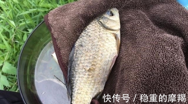 钓位|野钓时有哪些物品是必备的？这5件东西，少一件都钓不好鱼
