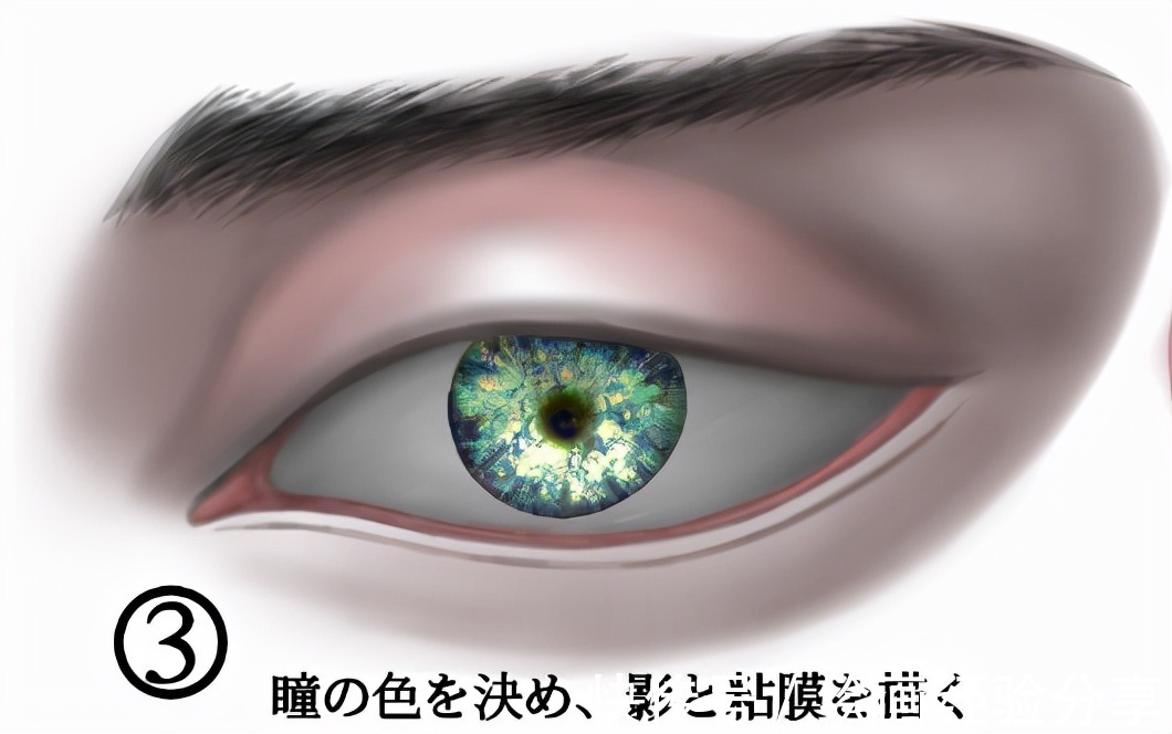 绘画|动漫写实眼睛怎么画?教你厚涂写实眼睛画法!