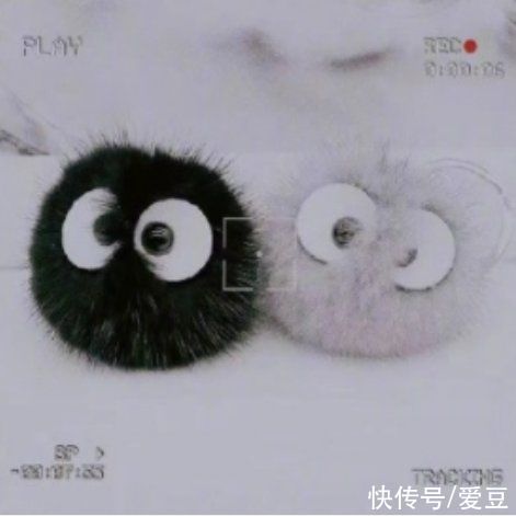 周生辰|210821 奇奇怪怪的代餐增加了 任嘉伦:怎么老有人打我貂的主意?