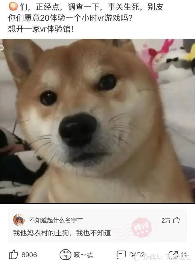 |沙雕段子：和同居3年以上的对象结婚是种怎样的体验？