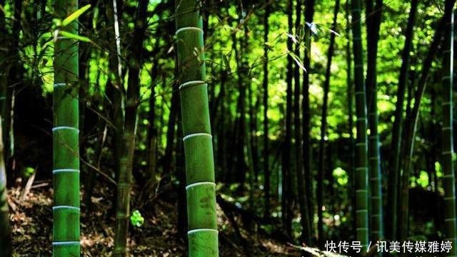 湖南周边自驾游值得一去的景点推荐，这些隐秘美景不容错过