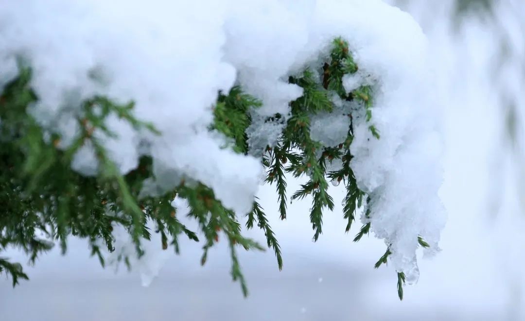 赵建民|临洮今秋第一场雪，比以往来得更早一些……