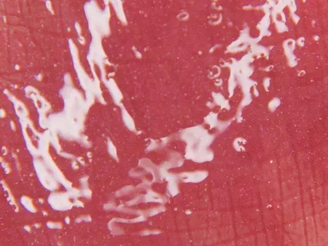 什么口红显白显气质特别适合春夏使用？超显温柔的新年口红测评