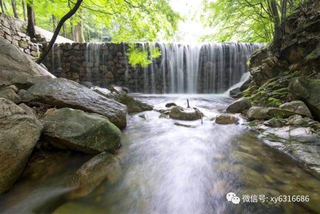 春光明媚，鸡公山风景区喜迎千人团队 踏青赏花 打卡鸡公山