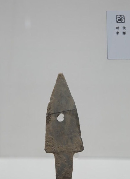 神仙|商朝王牌部队有多牛?虽没《封神演义》的神仙,但他们有战象兵