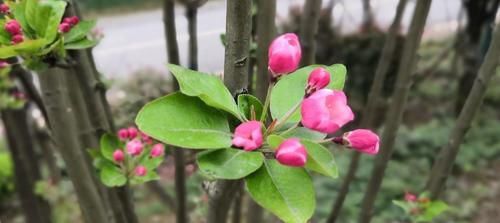 春季科学借势给孩子长个子加油