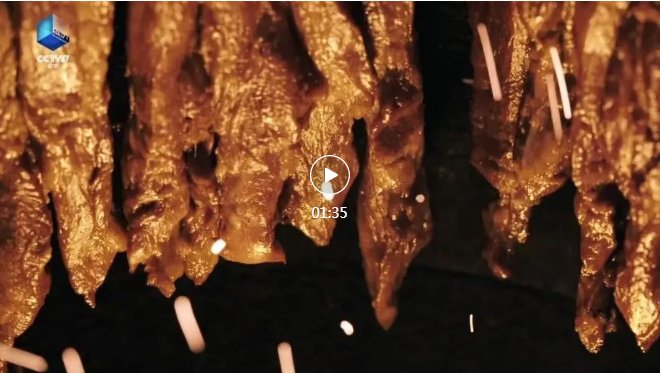 “想去澳門的請(qǐng)舉手！”