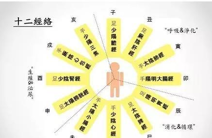 垃圾|拍打身体8个窝,拍出人体“垃圾”,气血遍全身!