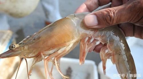 保存大虾时,直接放冰箱就错了老渔农教你一招,跟吃鲜虾一样