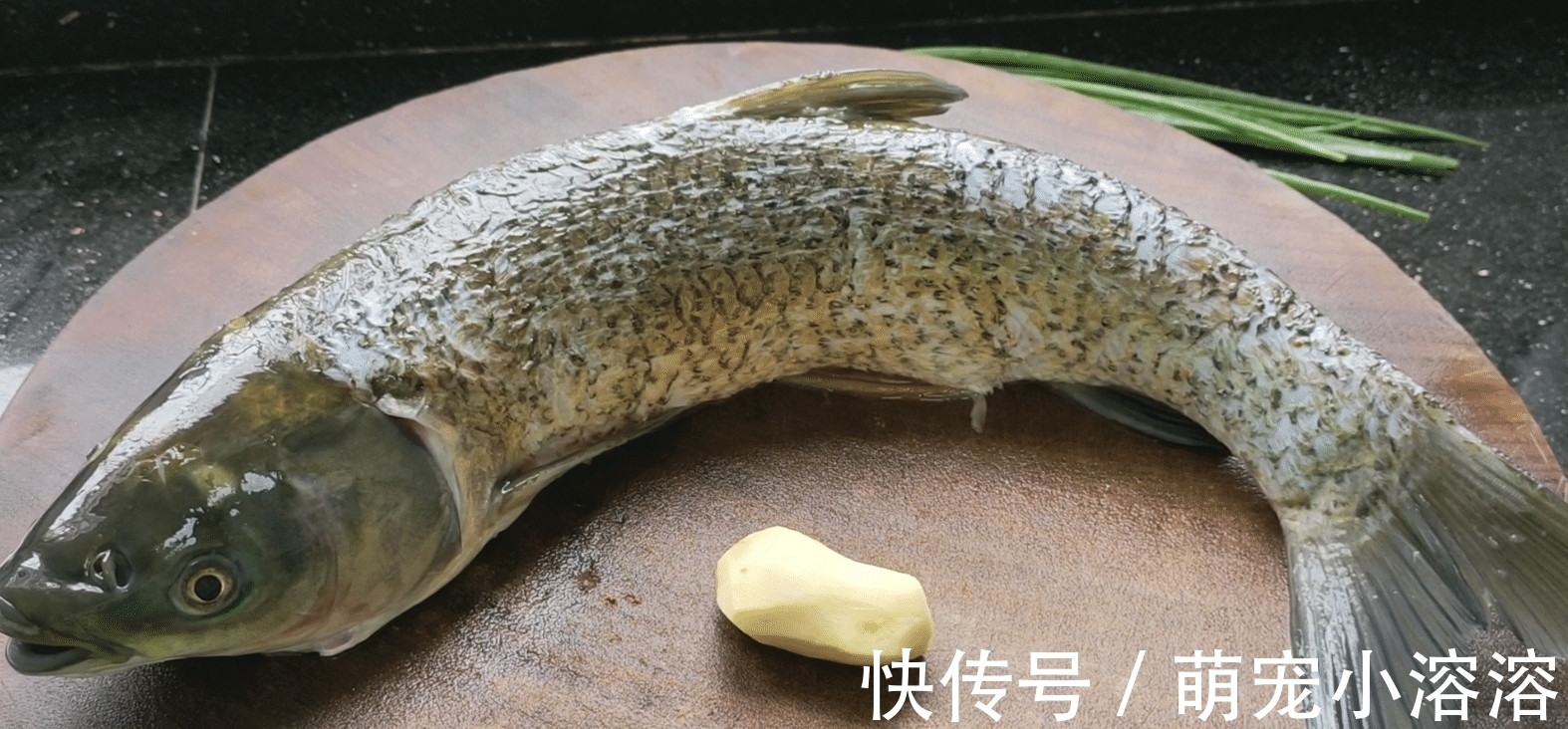 姜葱|草鱼这样做,酥香好吃又开胃,配料做法简单,一次做3斤也不够吃