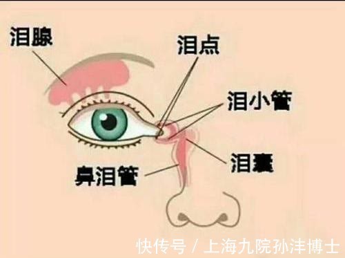 眼睛 孙沣博士：双眼皮手术后，眼睛总爱流泪是正常情况吗？