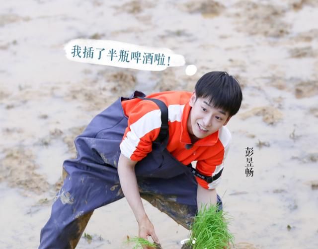 杨紫|最懒客人齐聚《向往5》，黄磊张艺兴早有对策，不愧是狐狸师徒