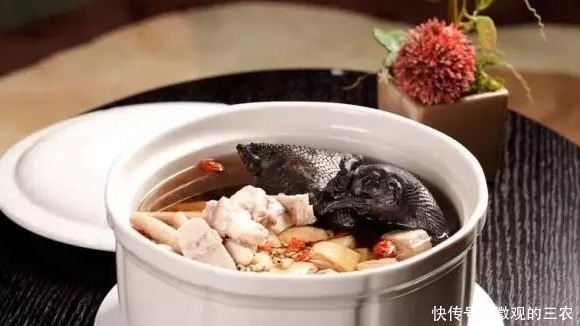 养几株对身体好的花草，除了欣赏，还能食疗，堪称阳台小药箱