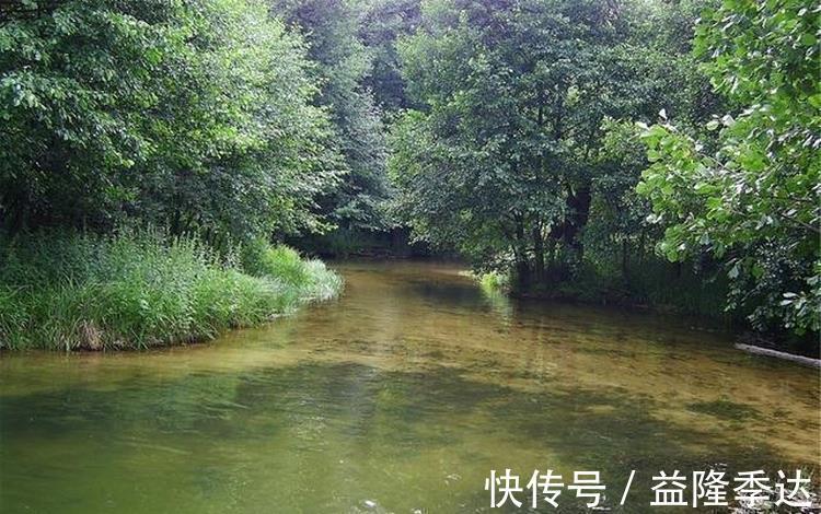 眼儿媚#范成大不可不读的一首词,从开篇到结尾句句惊艳,值得我们一读!