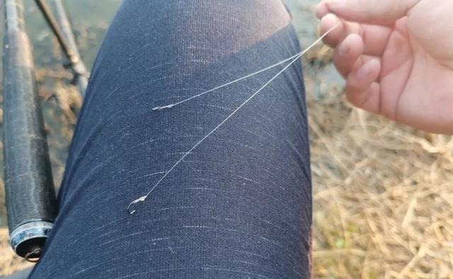 冬钓鲫鱼用多粗的线:0.8子线和0.4子线有何区别?