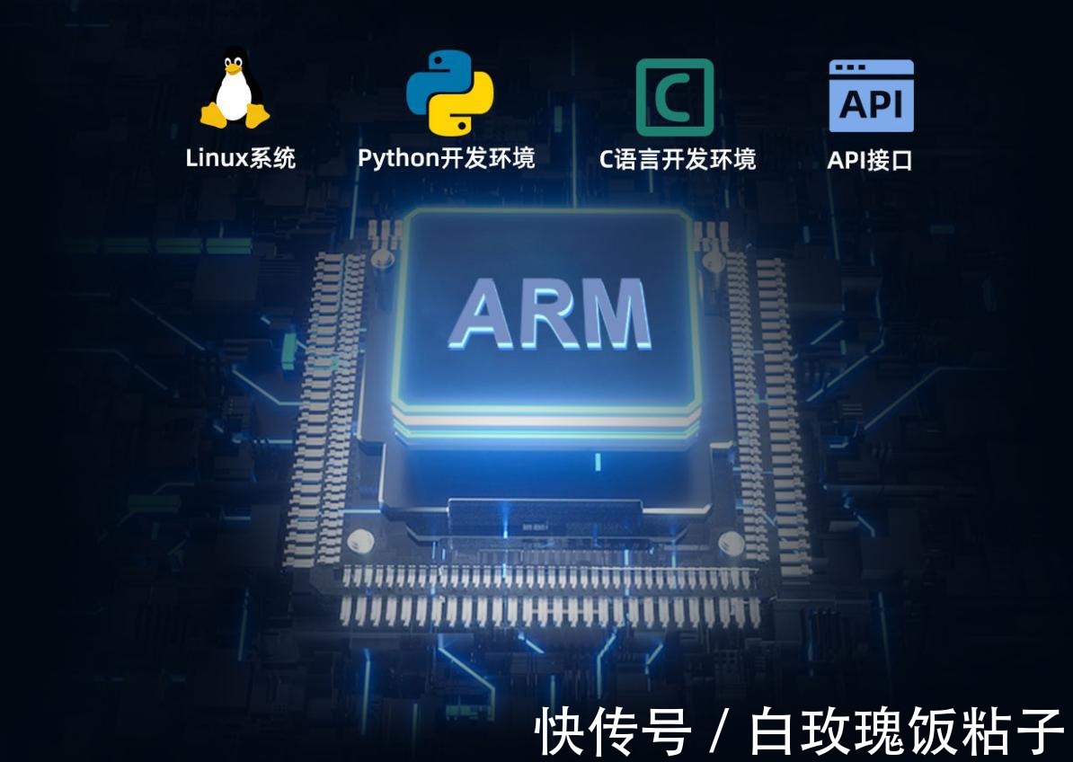 采集|5G远程工业网关TG463
