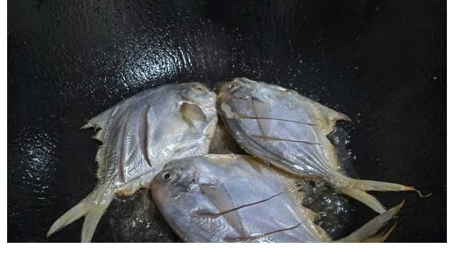 秋分后，市场遇到这鱼别错过，比带鱼营养比鲈鱼好吃，可别不懂吃