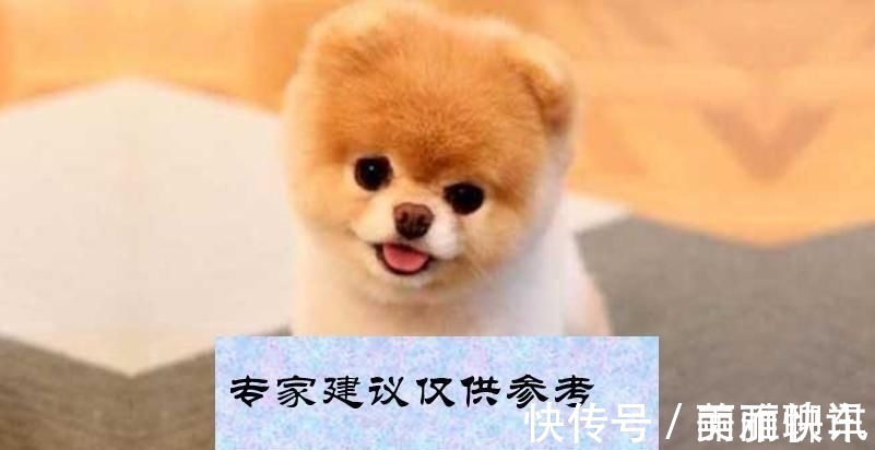 会计师|共享会计师财税分享:公司为高管人员租房的涉税及账务处理