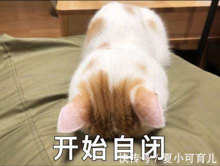 大家们|好用到飞起的5款洗发水,细软变蓬松,油发断发都搞定,孕妇可用