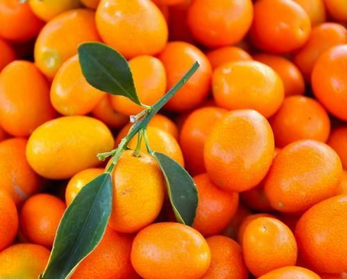  食物|每天坚持吃3种食物，营养丰富、滋补身体，好处多多！