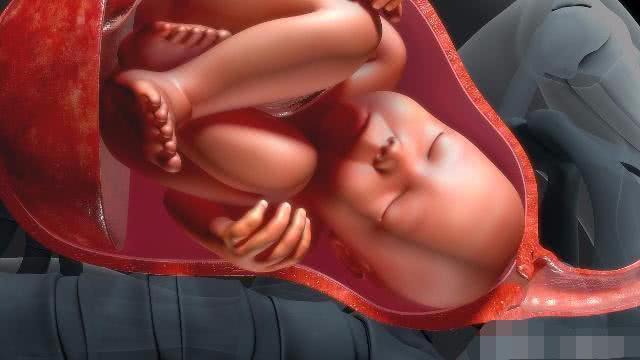 孕妈妈|“高智商”的胎儿,在怀孕期间或许会有3个表现,提前了解一下!