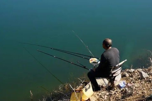 糜子|钓鲤鱼选对饵料才能钓大鱼,饵料按照这样去做,不咬钩都难