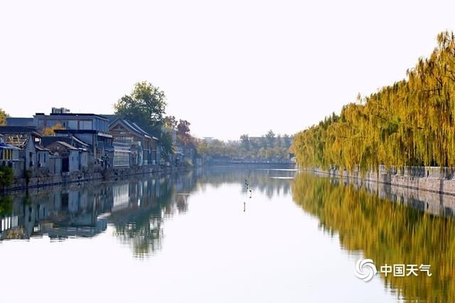  筒子河畔依旧是秋|北京故宫筒子河畔银杏金黄 初冬时节仍有晚秋之美