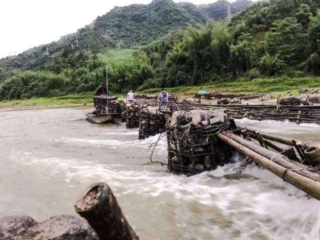 鱼梁|非常舒服的捕鱼方式，已有3千多年的历史，却还是非常好用！