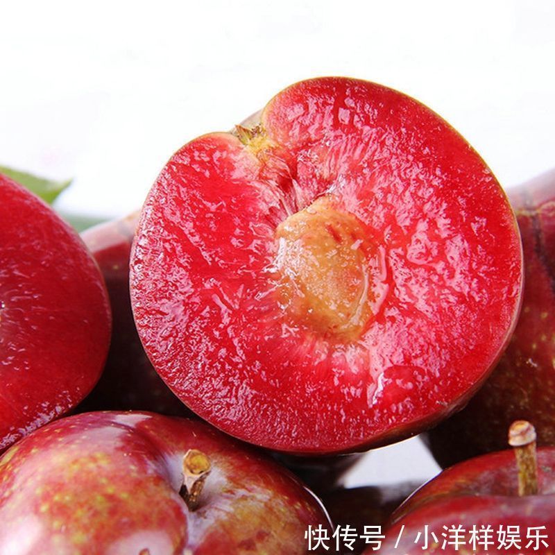 树苗|老大爷偷偷告诉出门见到此树苗,赶紧悄悄带回家,来年大丰收