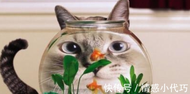 省心杂言|一个家庭难以富贵,往往是犯了这3个糊涂,要想家庭兴旺不妨一看