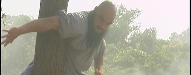 要是鲁智深过景阳冈,能徒手打死老虎吗