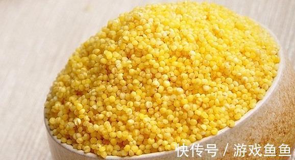 小米味甘|一把小米,养生大功效!4种巧妙搭配,健康美味,养生又祛病!