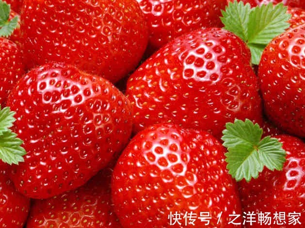 草莓|长寿老人都在吃的5种水果，尤其是最后一种，很容易被人忽略！