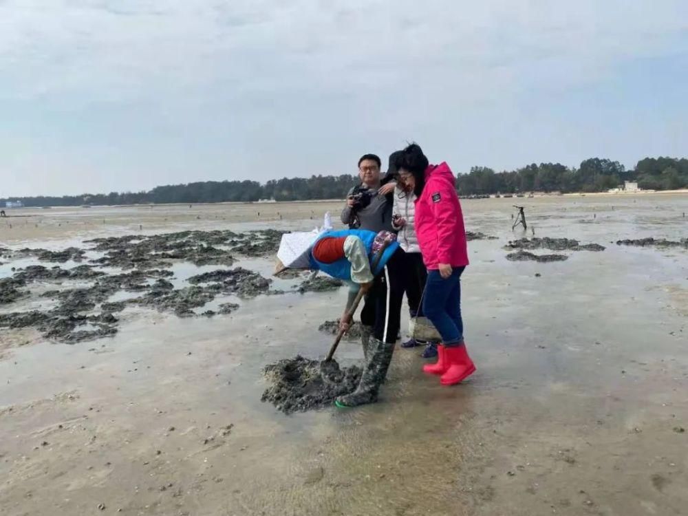  1月12日！北海早餐将亮相央视《消费主张》！