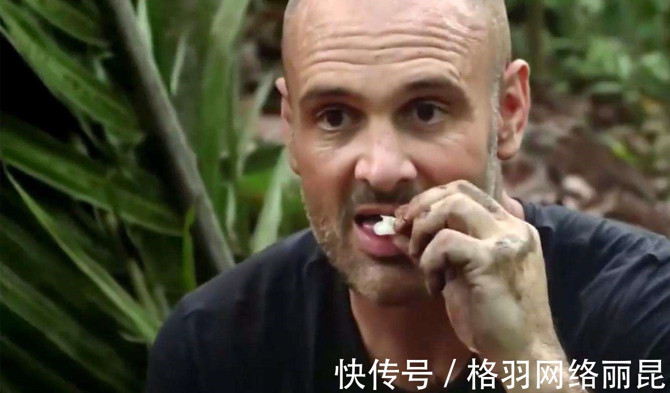 摄影|贝爷和德爷谁更厉害？网友：看他们当年服役的部队就懂了