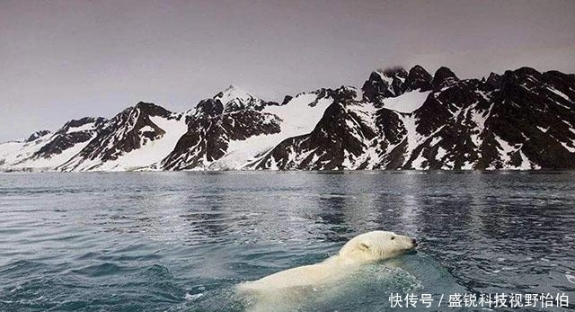 斯瓦尔巴群岛|100年前法国强塞给中国一块地,段祺瑞无奈接受,今成黄金宝库