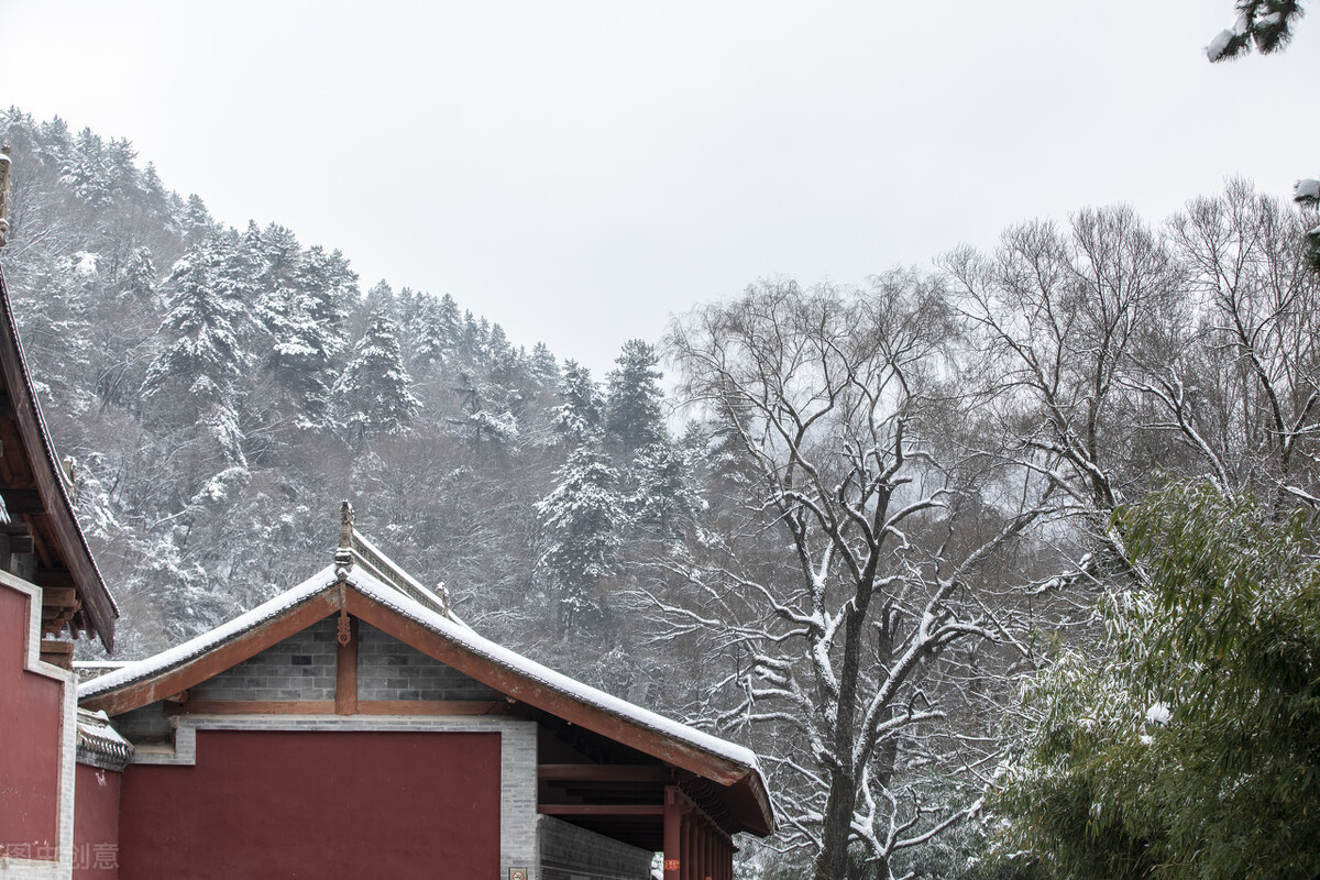 2020的情思—— 风雪赋