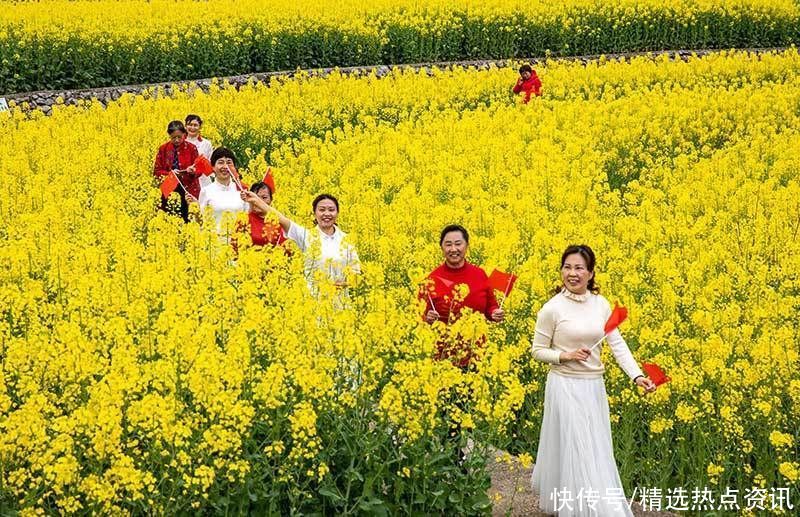 高清湖北兴山高山龙池千亩油菜花盛开 美如画卷