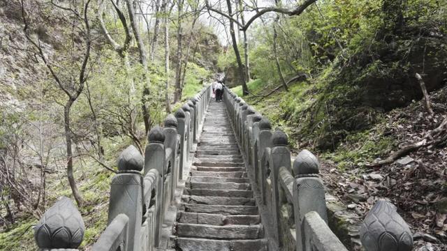 软骨|这四个日常习惯特别伤膝盖，很多人仍在做