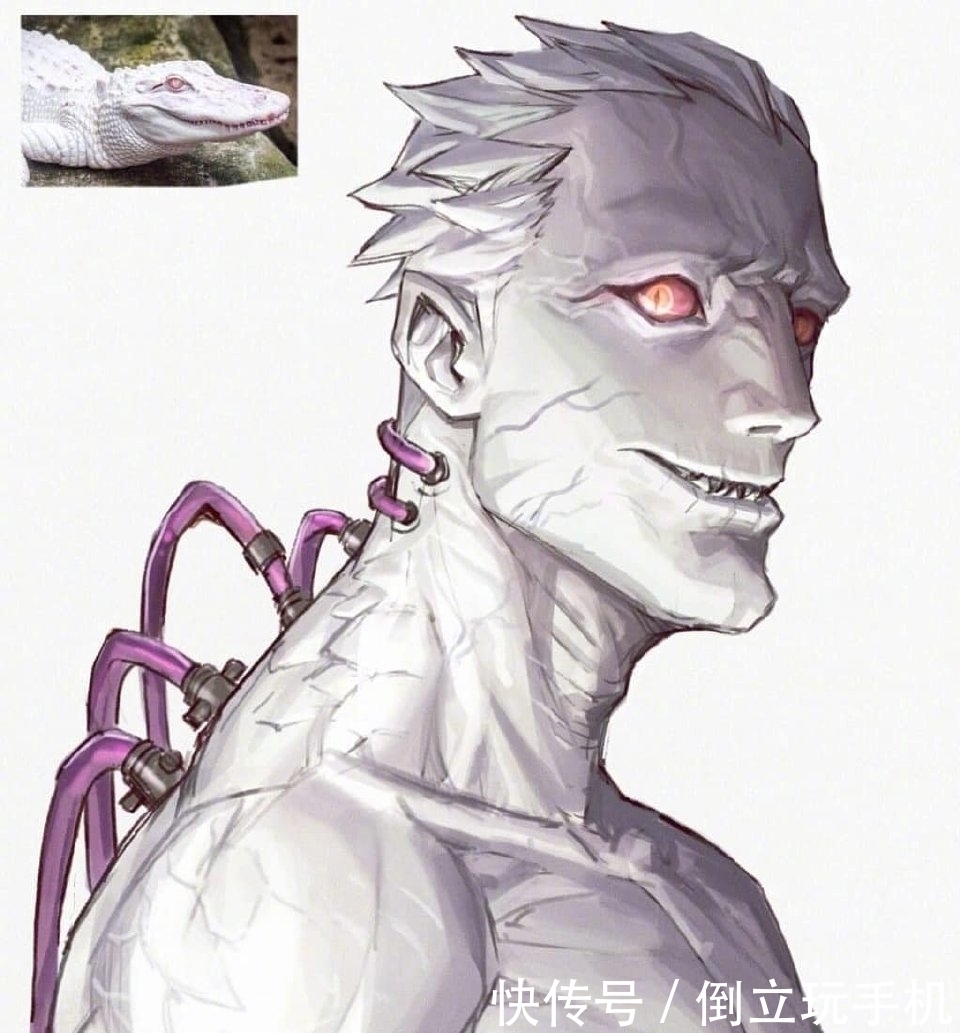 鳄鱼|画师绘制另类拟人化，野兽们拥有人类外形，鳄鱼眼神太凶