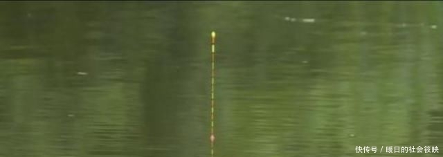 钓鱼|钓鱼“黑”午时不是鱼儿难钓获,而是你方法不对路