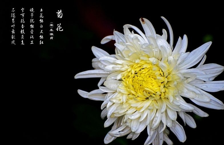 六六大吉|农历生日尾数是几的孩子,多财多福,长大后定有一番作为