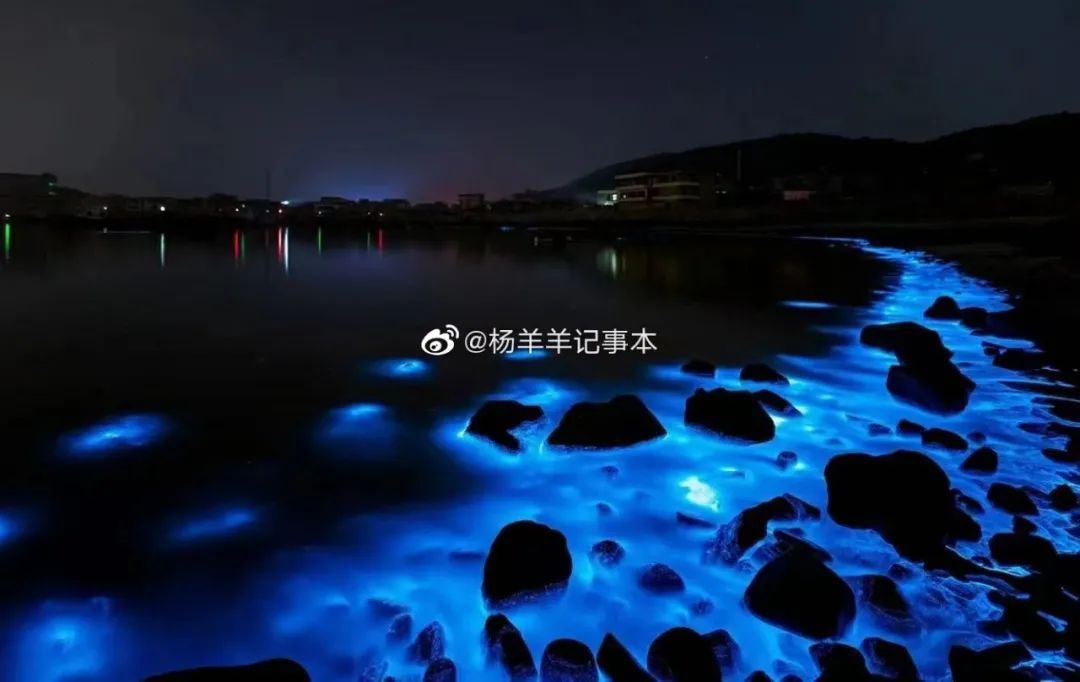 海峡导报|突发！厦门海沧湾公园人人人人人